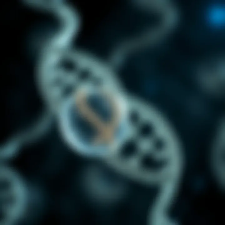 Diagram showing a single-celled organism duplicating its circular DNA before division