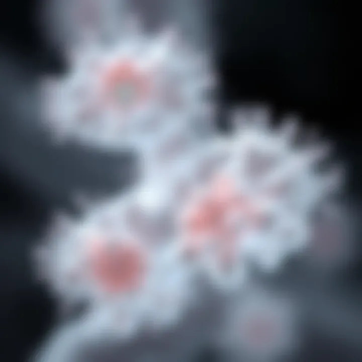 Representation of factors influencing bacterial reproduction including environmental conditions and genetic variations